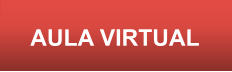 AULA VIRTUAL