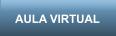 AULA VIRTUAL