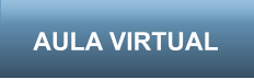 AULA VIRTUAL